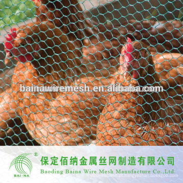 Hexagonal Poultry Fence Fileira De Frango